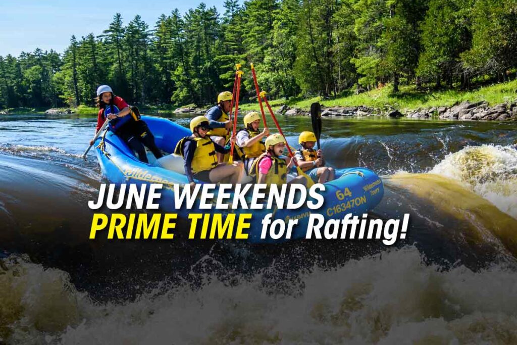 June rafting sale at Wilderness Tours