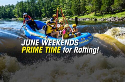 June rafting sale at Wilderness Tours