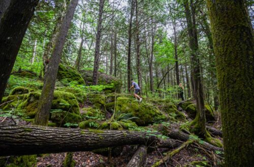 Hiking Trails Ottawa River Ontario Canada Wilderness Tours