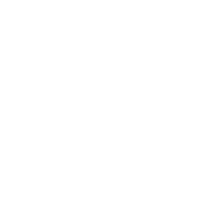 wilderness tours logo