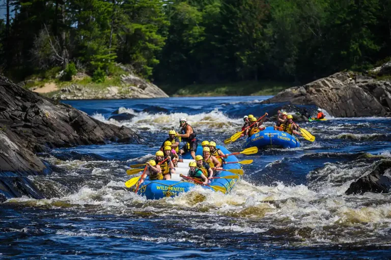 High Adventure Rafting Day Trip Ottawa River