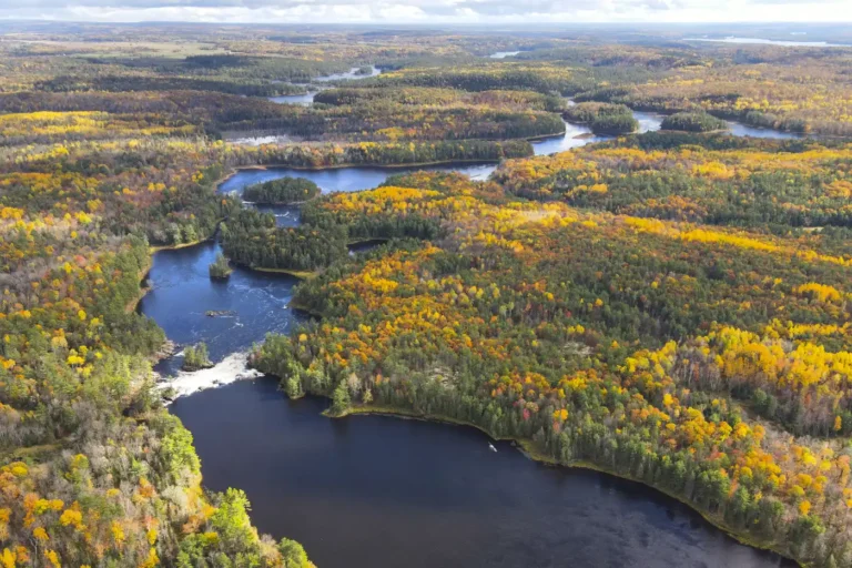 Fall Colours rafting Leaf Peeping Ottawa River feuilles d'automne