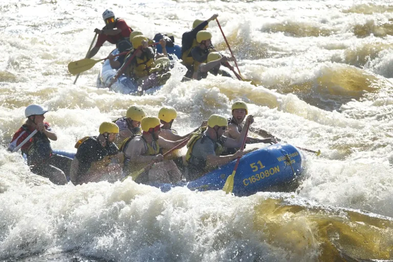 Image of rafting group on ottawa river | Wilderness Tours