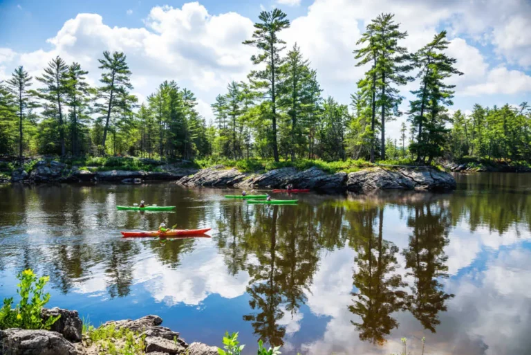 Sea Kayaking Wilderness Tours Ottawa Kayak School