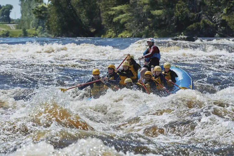 Beginner White Water Rafting Ottawa River Wilderness Tours Canada