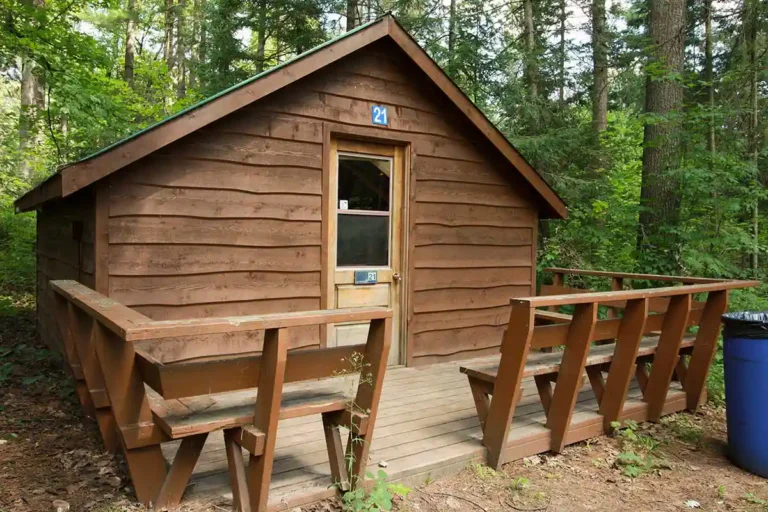 Cedar Cabin Lodging Accommodation at Wilderness Tours