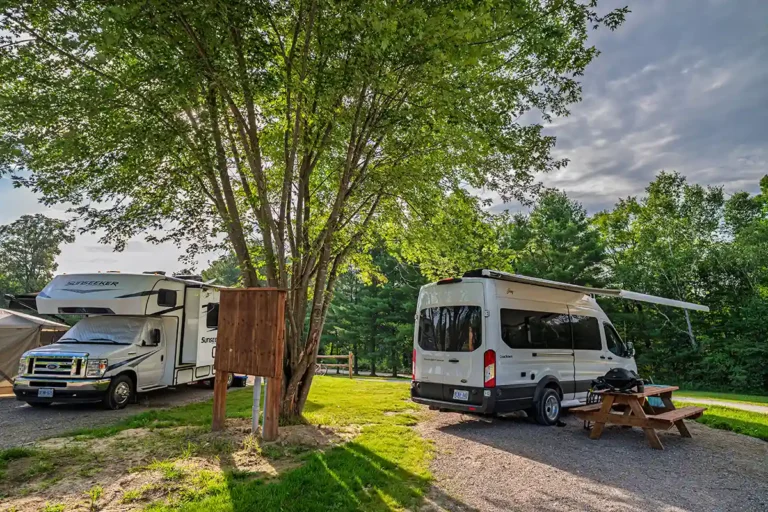 Wilderness Tours Resort RV Sites