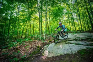 Air Bud at Wilderness Tours Bike Park