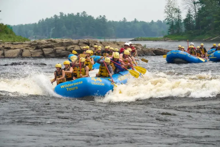 Medium Intensity Whitewater Rafting at Wilderness Tours