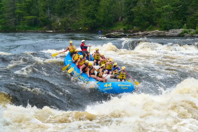 Whitewater Rafting Medium Intensity Wilderness Tours Resort