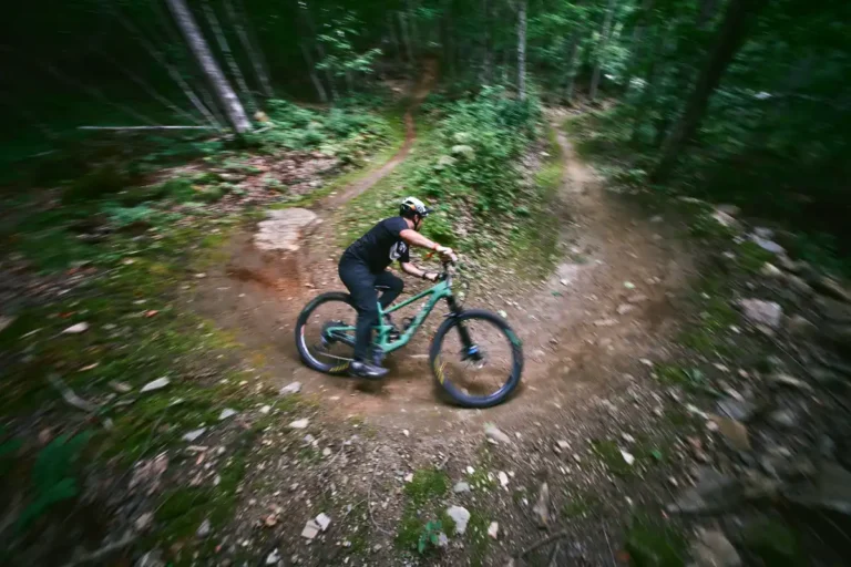 Wilderness Tours Mountain Bike Park